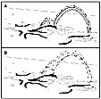 Fig3 - 27k