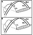 Fig4 - 22k